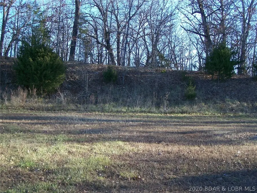 Lot 23 Evergreen Court, Gravois Mills, MO 65037 - Image #3