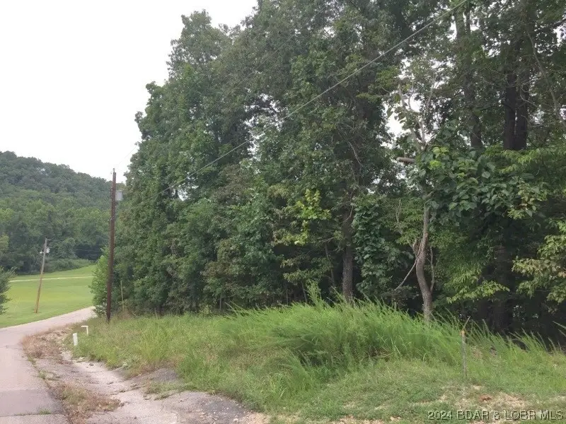 933 Round Table Drive, Camdenton, MO 65020 - #3