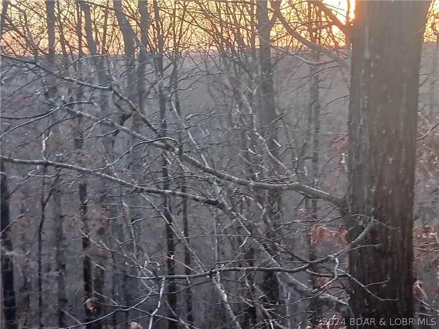 TBD Fresno Lane, Versailles, MO 65084 - Image #2