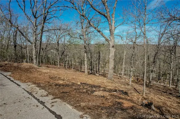LOT 30 Craftsman Drive, Camdenton, MO 65020