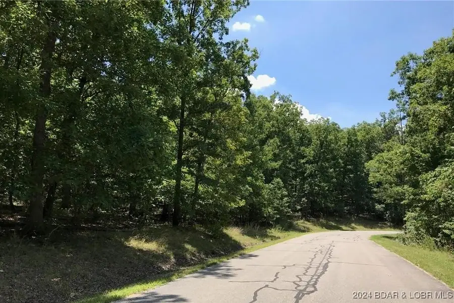 TBD Lake Drive, Jasper, MO 65079 - Image #2