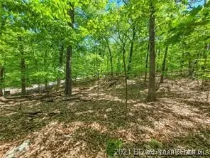TBD Lake Drive, Jasper, MO 65079 - Image #3