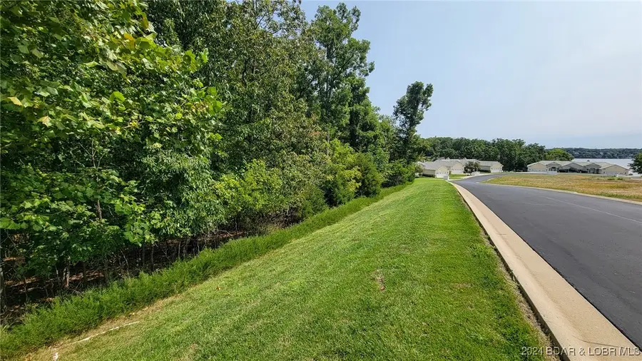 Lots 1, 2, and 3 Cordoba Point, Jasper, MO 65079 - Image #2