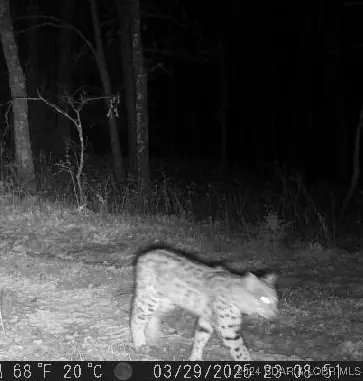 30915 Broken Circle Road, Stover, MO 65078 - Image #2