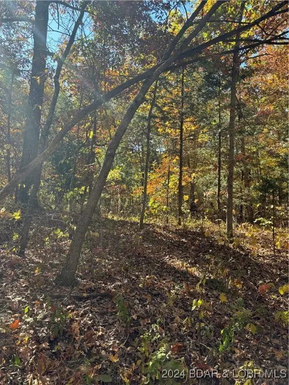 10.4 ac State Hwy T Road, Stover, MO 65078 - #3