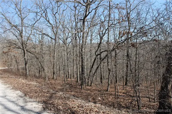 Moira Road #122, Edwards, MO 65326