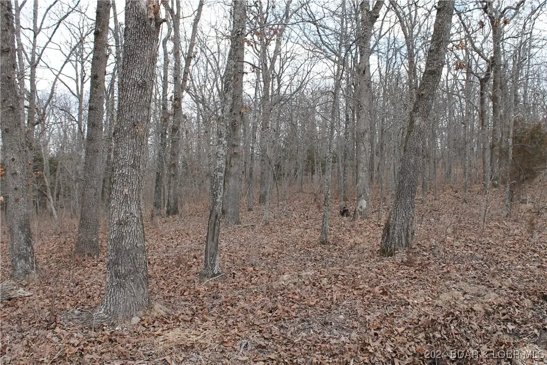 Kip Drive #1632, Edwards, MO 65326 - Image #1