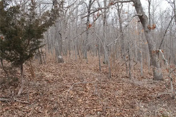 Bogardus Road #2677, Edwards, MO 65326