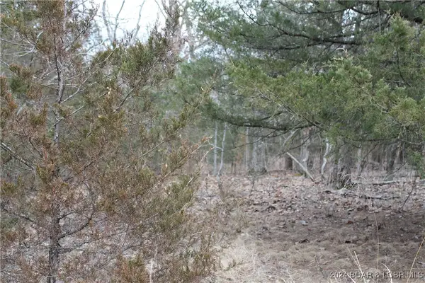 Toriyama Place #3694, Edwards, MO 65326