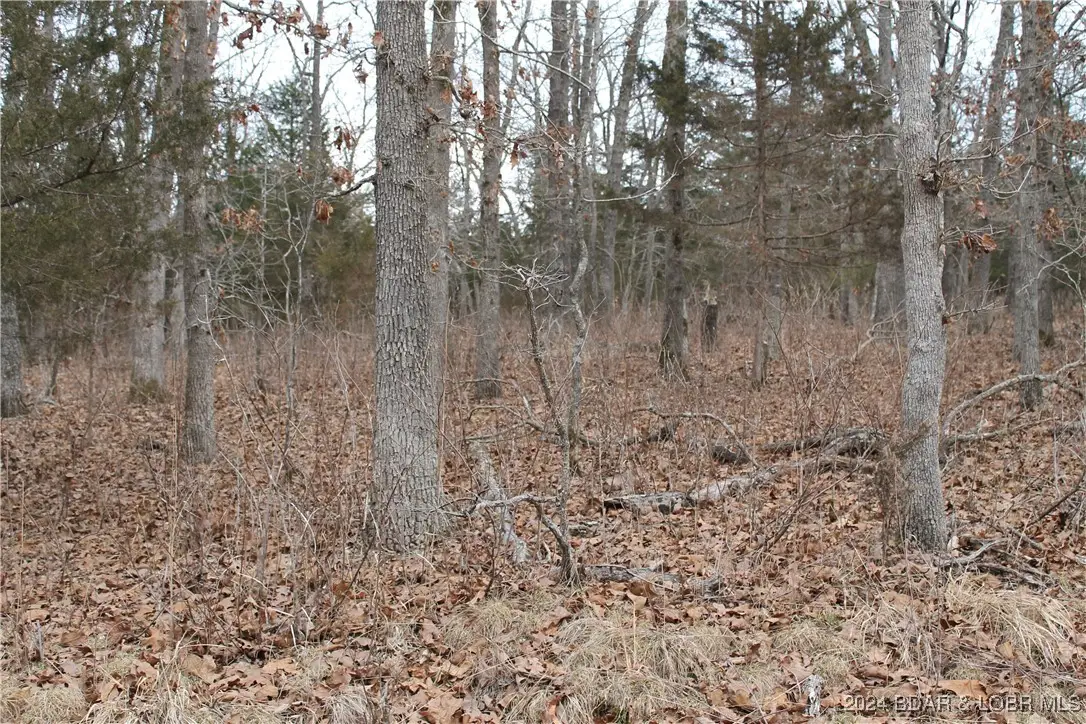 Winarsky Circle #4093, Edwards, MO 65326 - Image #1