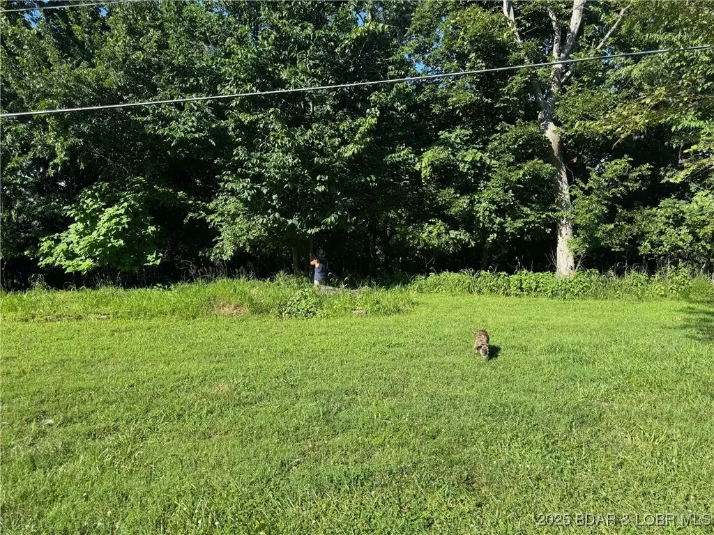 Tbd Tristar Road, Sunrise Beach, MO 65079 - Image #1