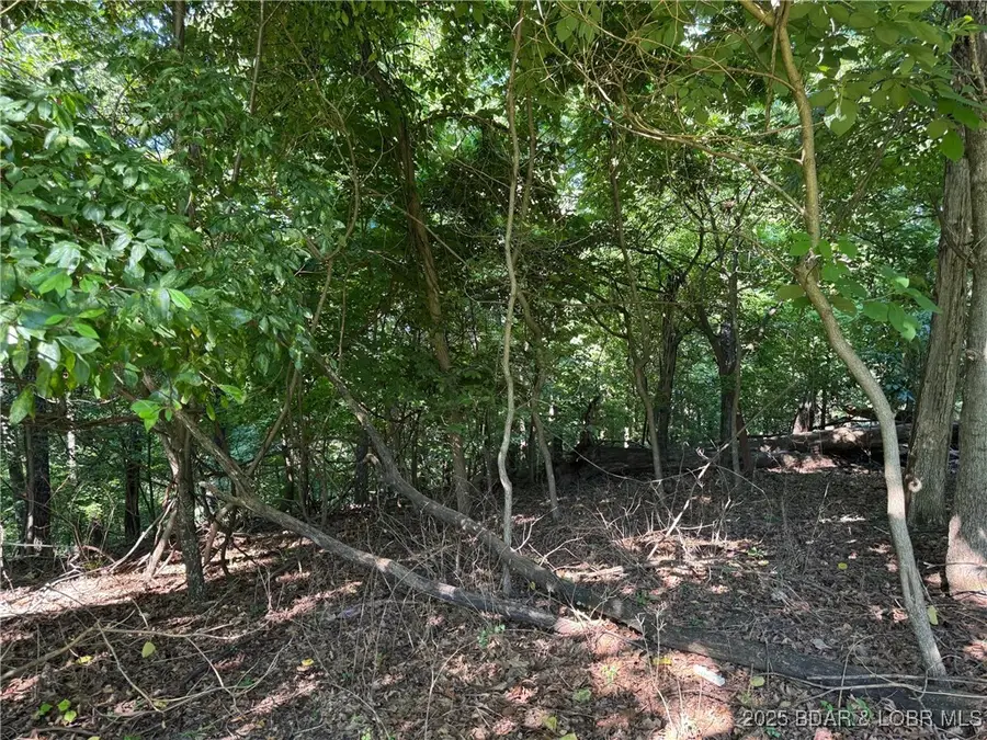 Tbd Tristar Road, Sunrise Beach, MO 65079 - Image #3