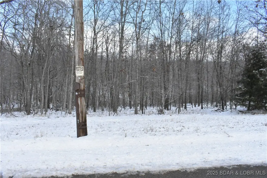 Lot 20 Oak Point Drive, Gravois Mills, MO 65037 - Image #1