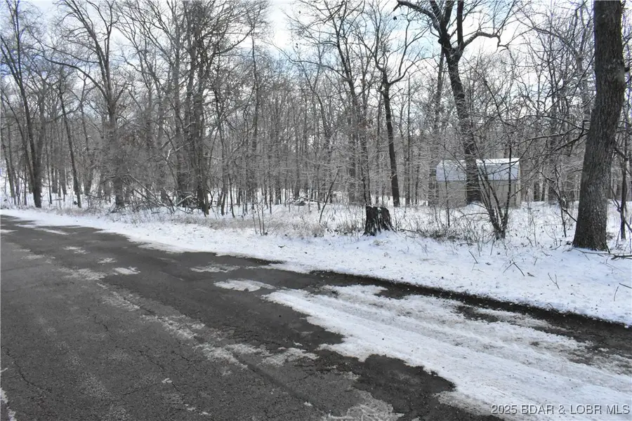 Lot 20 Oak Point Drive, Gravois Mills, MO 65037 - Image #3