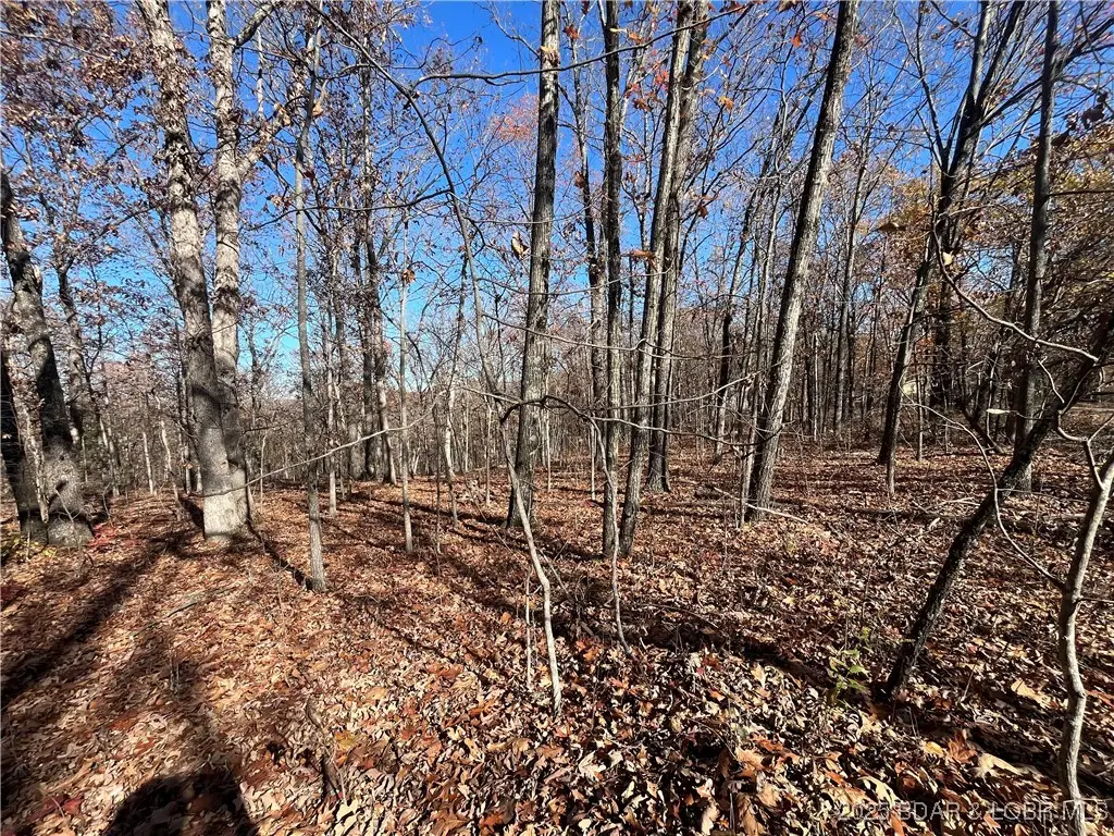 Lot 71 Hiwatha Lane, Rocky Mount, MO 65072 - Image #1