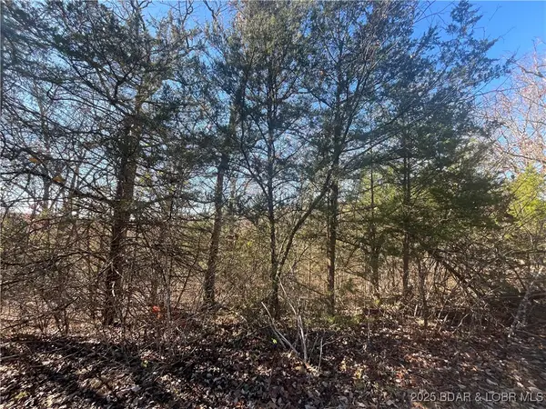 Lot 255 Toronto Lane, Rocky Mount, MO 65072