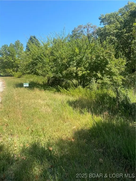 Lot 12 Witches Cove Boulevard, Lake Ozark, MO 65049 - Image #3