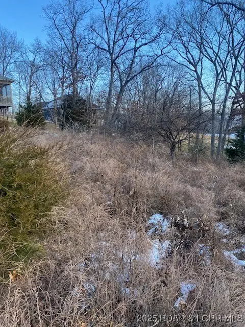 Lot 33 Country Club Cove Drive, Lake Ozark, MO 65049 - Image #2