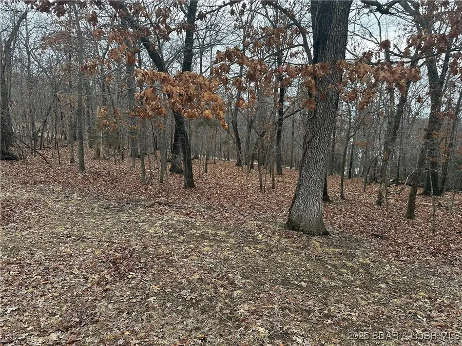 314 Grand Point Boulevard, Jasper, MO 65079 - Image #2