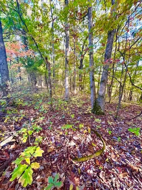 Lot#4 Lakewood Lane, Barnett, MO 65011 - Image #1