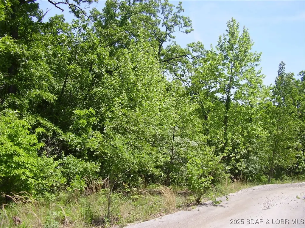 20 Silver Spur Court, Camdenton, MO 65020 - Image #1