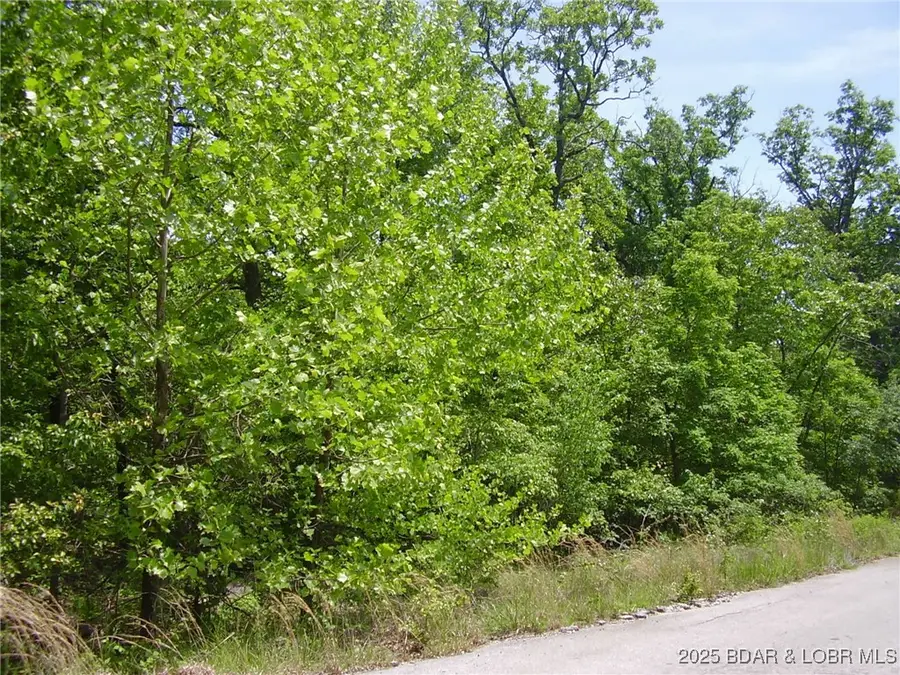 20 Silver Spur Court, Camdenton, MO 65020 - Image #2