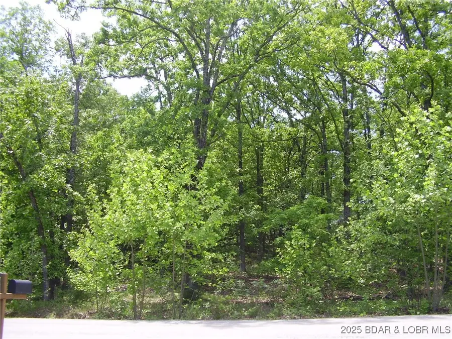 20 Silver Spur Court, Camdenton, MO 65020 - Image #3