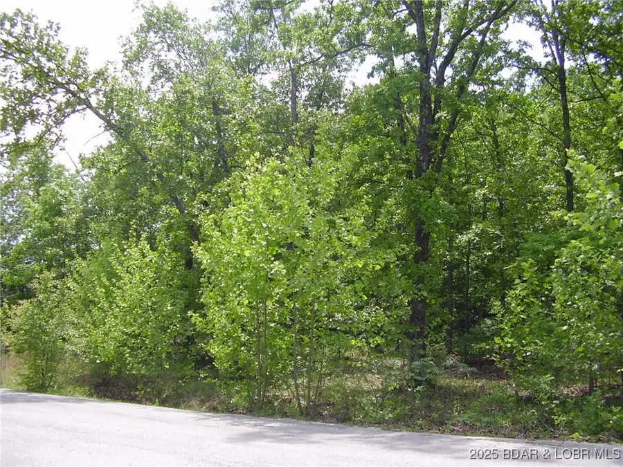 19 Silver Spur Court, Camdenton, MO 65020 - Image #2