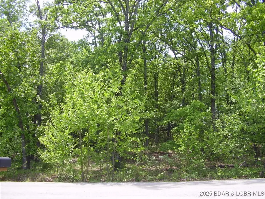 19 Silver Spur Court, Camdenton, MO 65020 - Image #3