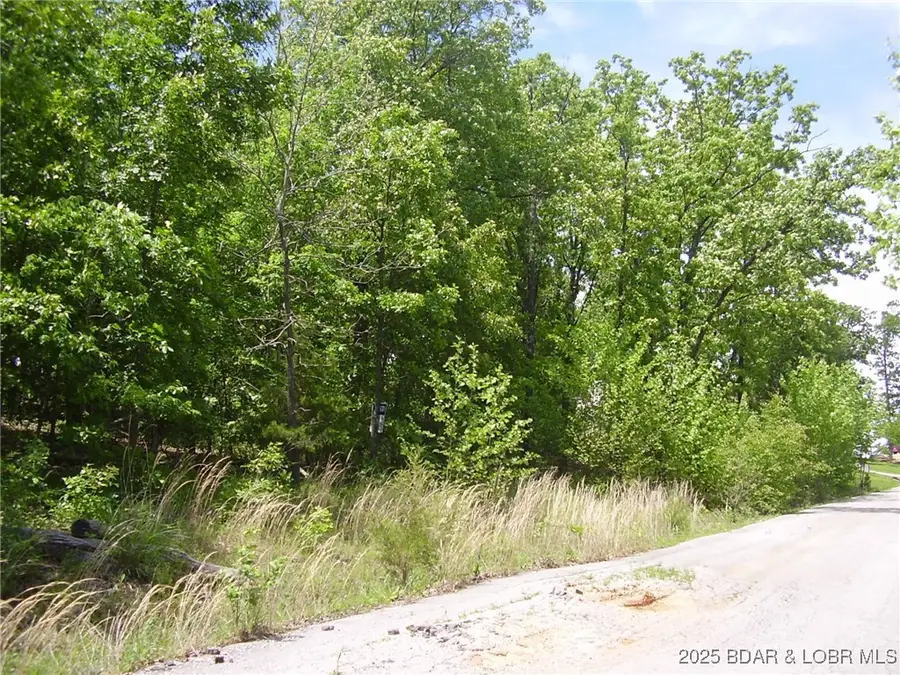 26 Silver Spur Court, Camdenton, MO 65020 - Image #2