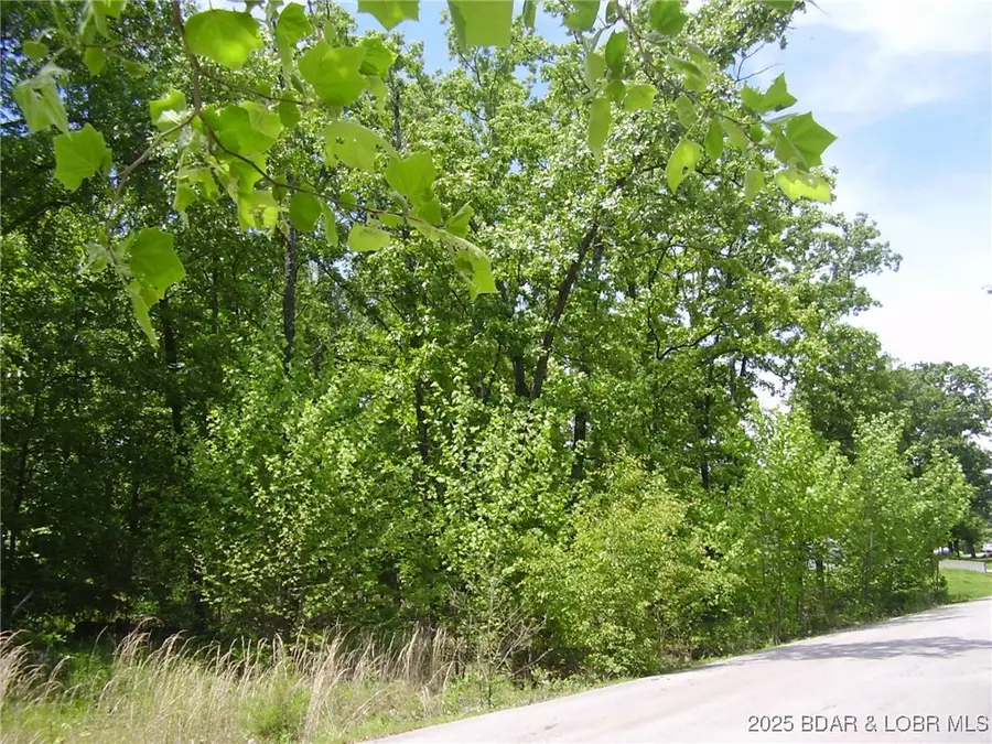 26 Silver Spur Court, Camdenton, MO 65020 - Image #3