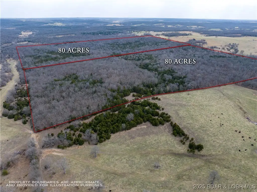 Mill Creek Road, Stoutland, MO 65567 - #1