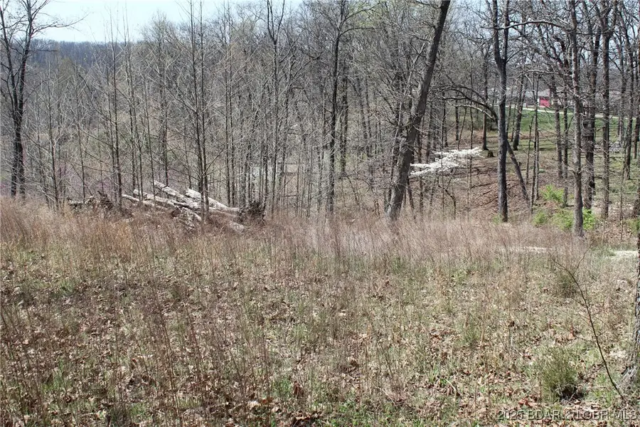 Lot 1 Hawk Lake Drive, Sunrise Beach, MO 65079 - Image #3