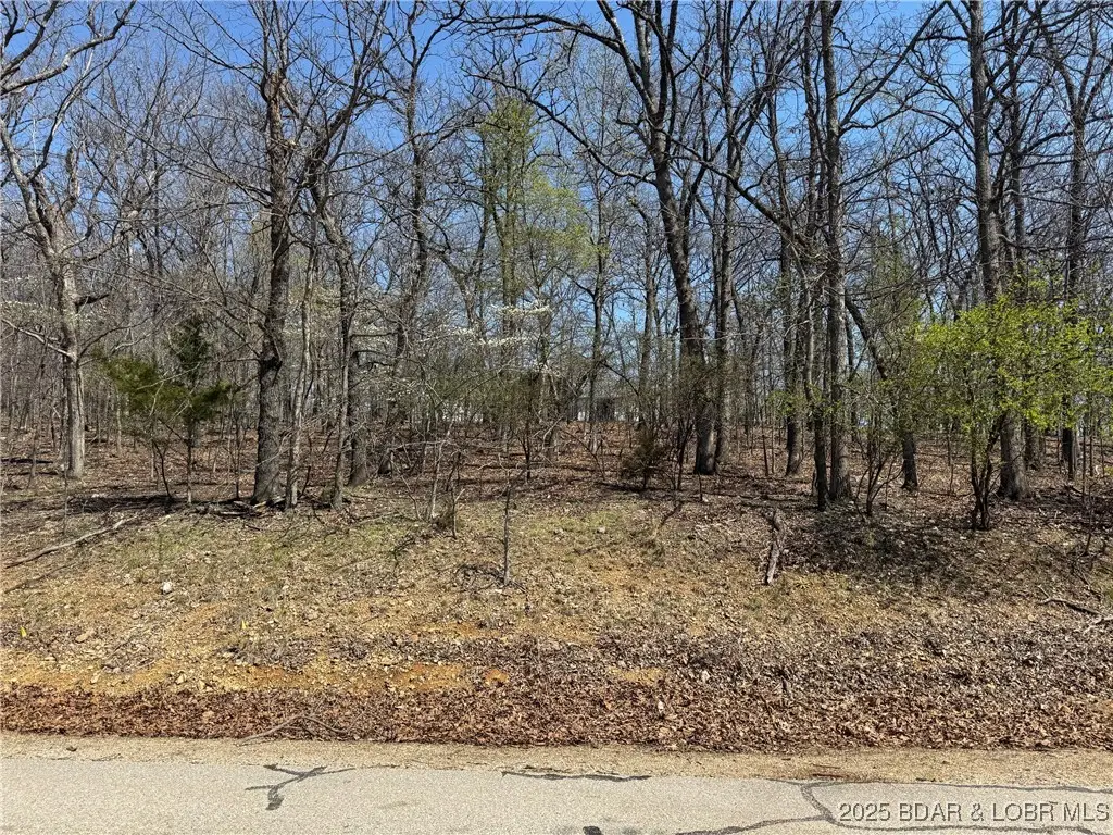 Grand Cove Road, Jasper, MO 65079 - Image #1