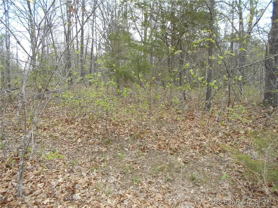 Broad Leaf Road, Sunrise Beach, MO 65079 - Image #3