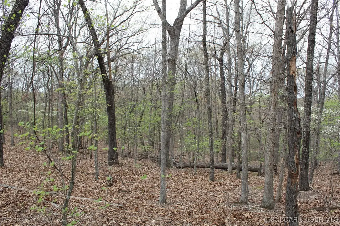 TBD State Road F, Sunrise Beach, MO 65079 - Image #1