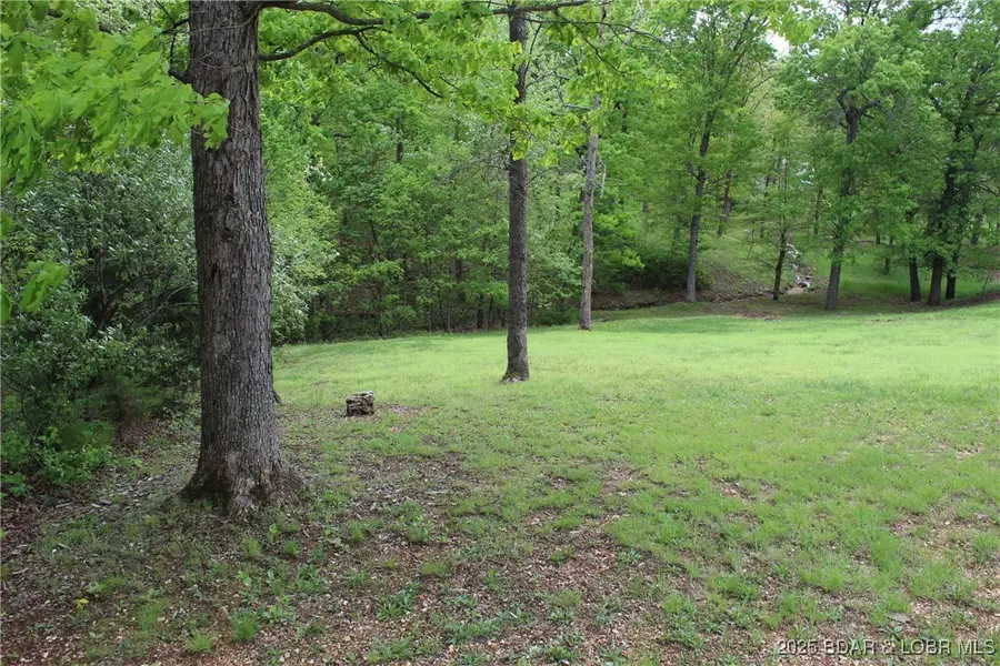 Lot 9A Pinkie Lane, Laurie, MO 65037 - Image #2