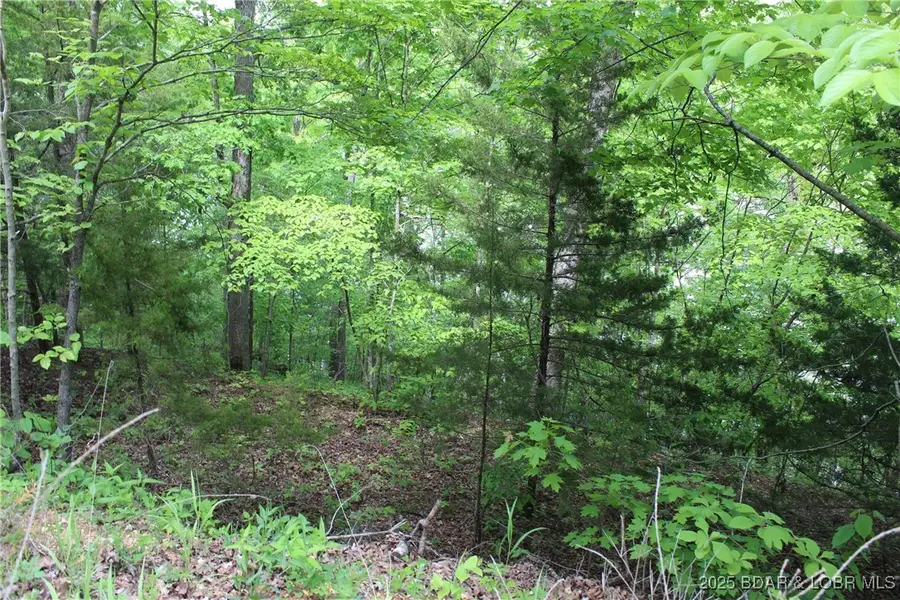 TBD Butler Road, Gravois Mills, MO 65037 - Image #2