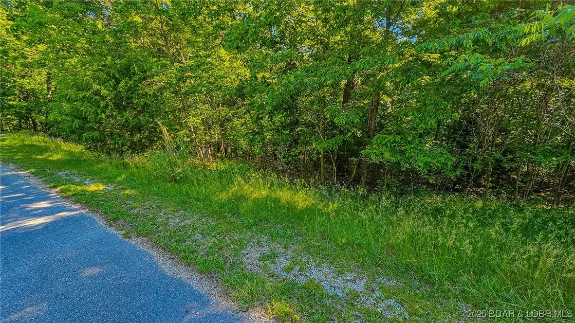 Lot #862 Grand Cypress Court, Sunrise Beach, MO 65079 - #1