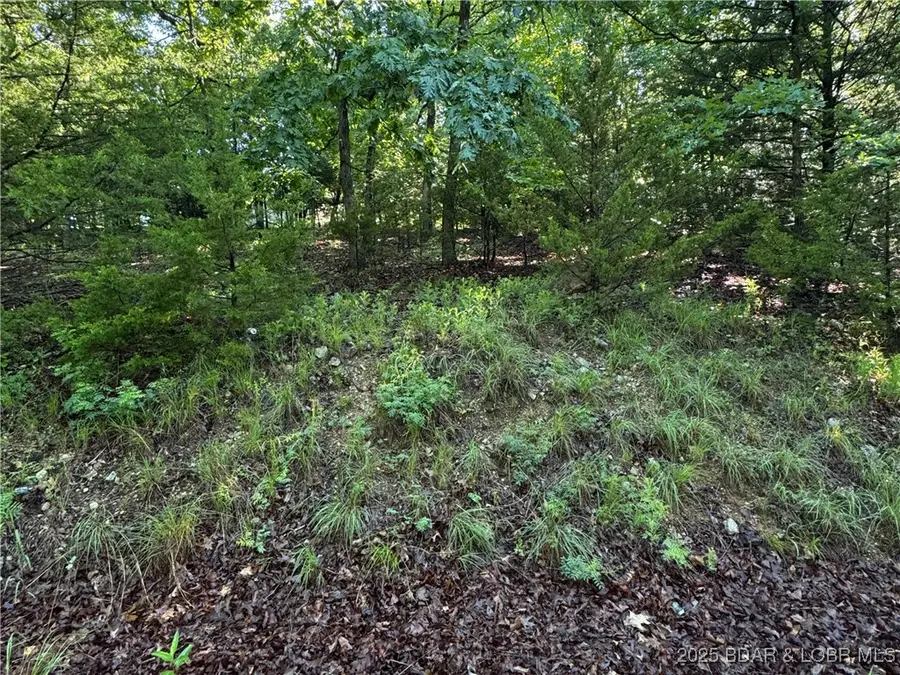 TBD Storm Cove Drive, Linn Creek, MO 65052 - Image #3