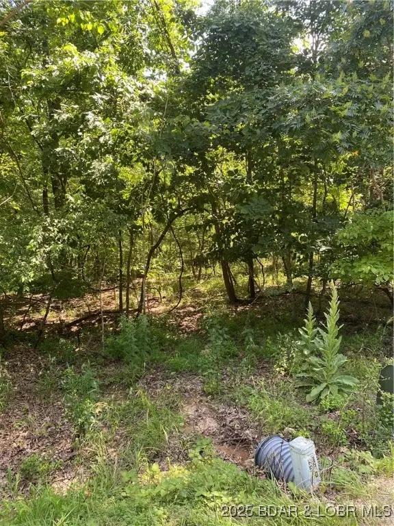 Lot 125 Veronica Lane, Lake Ozark, MO 65049 - Image #3