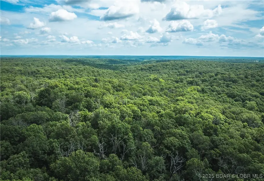 TBD Geronimo Springs Road-tract 2, Macks Creek, MO 65786 - Image #3