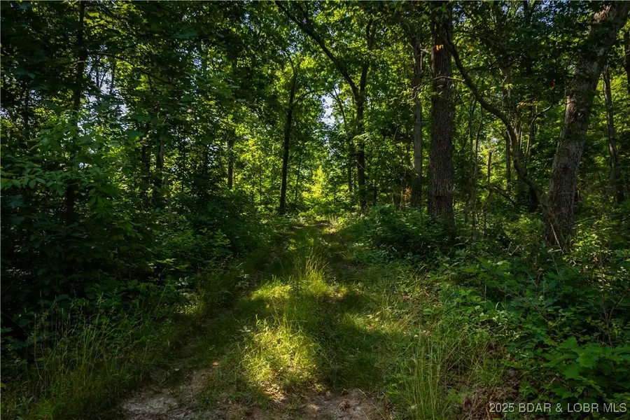 Beechnut, Stover, MO 65078 - Image #2