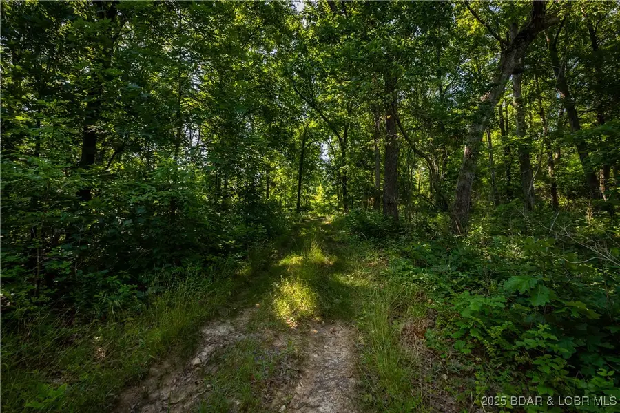 Beechnut, Stover, MO 65078 - Image #3