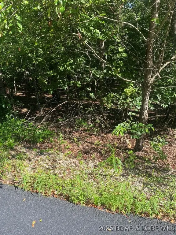 Lot 1275 Champions Run, Sunrise Beach, MO 65079 - Image #2