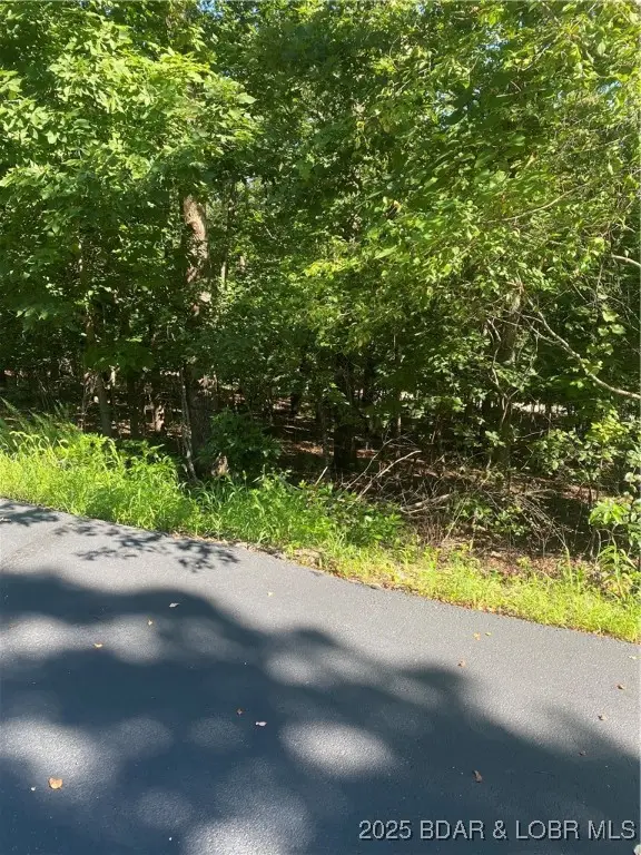 Lot 1275 Champions Run, Sunrise Beach, MO 65079 - Image #3