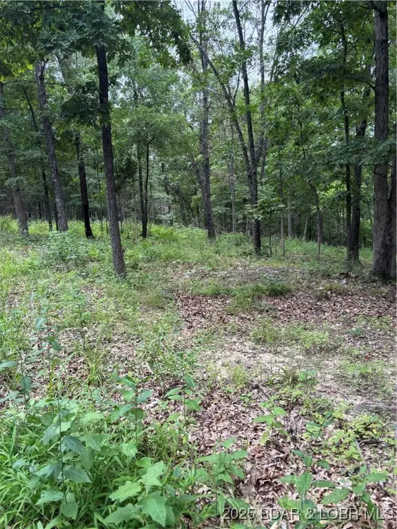 Beechnut Road, Stover, MO 65078 - Image #3