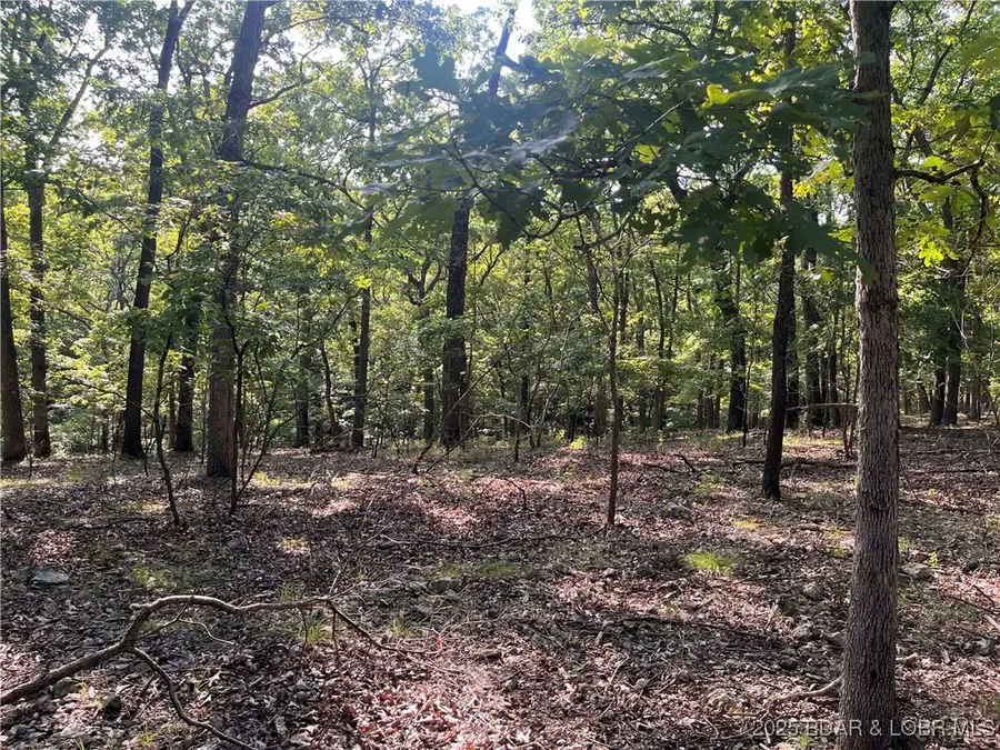TBD Flathead Road, Gravois Mills, MO 65037 - Image #3