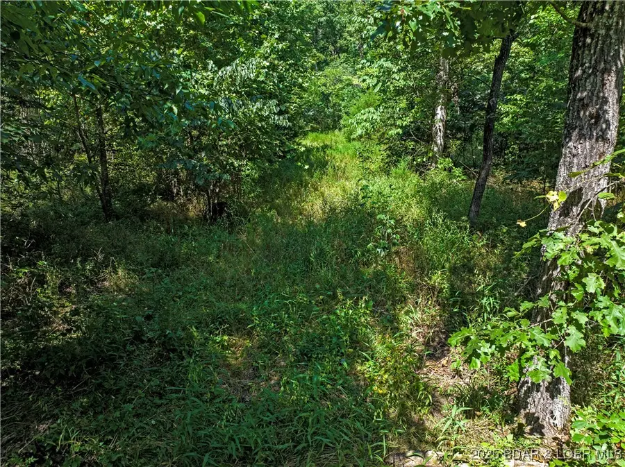 E Highway, Montreal, MO 65591 - Image #2