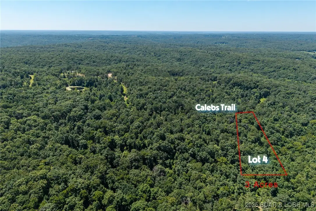 LOT 4 Calebs Trail, Roach, MO 65787 - Image #1